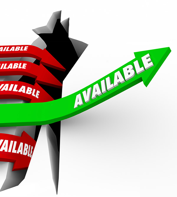 Check Availabilty